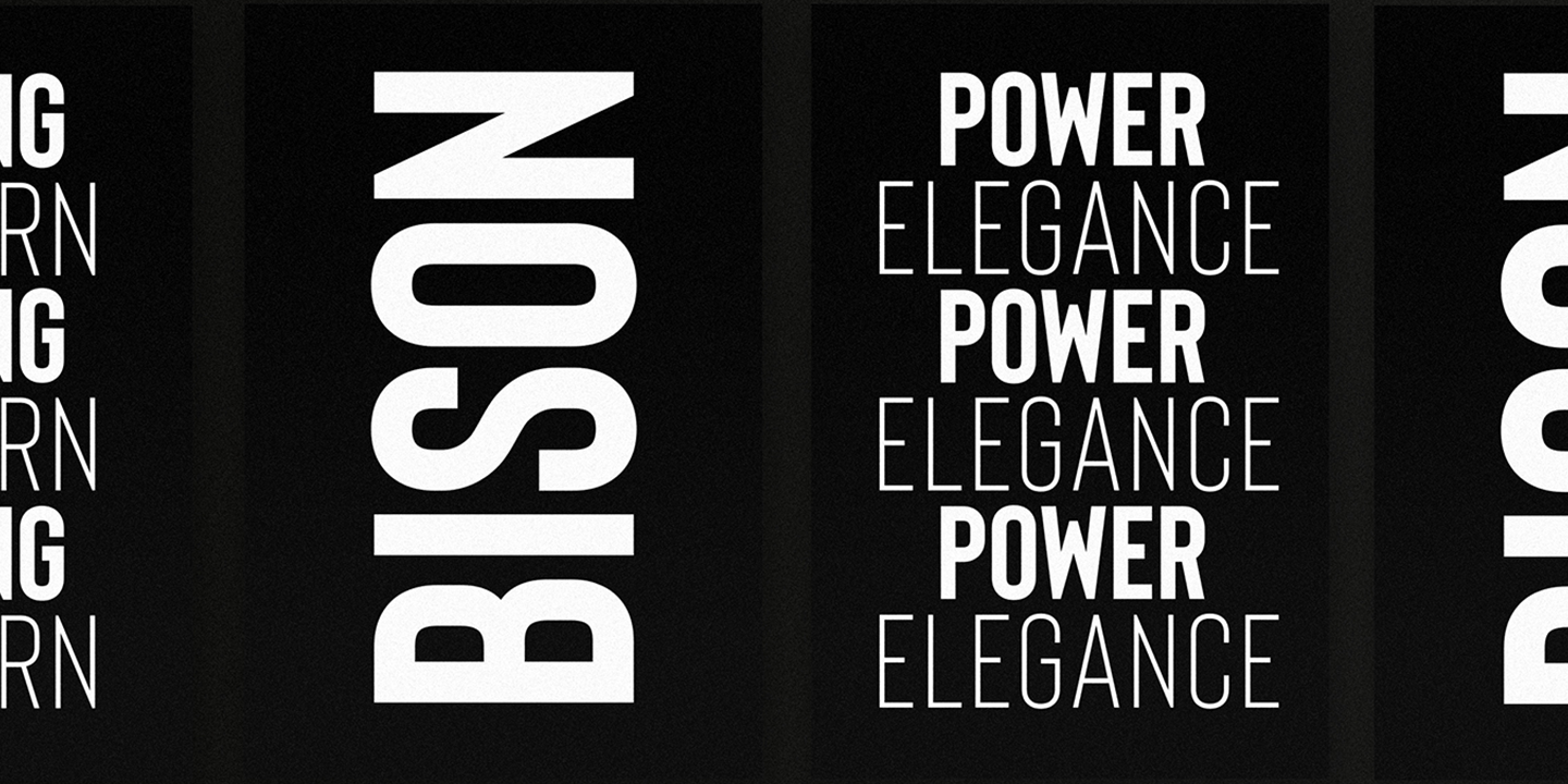 Example font Bison #14